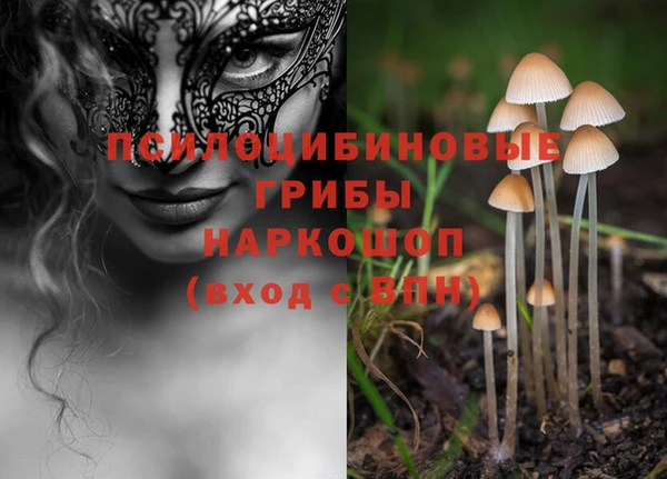 стаф Балахна