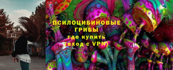 стаф Балахна